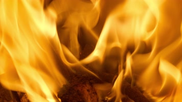 篝火堆木炭火焰燃烧柴火烈焰