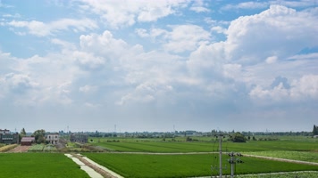 农村庄乡村子稻田野蓝天白云 农村庄乡村子稻田野蓝天白云