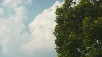 夏天蓝天白云绿树微风静谧 夏天蓝天白云绿树微风静谧