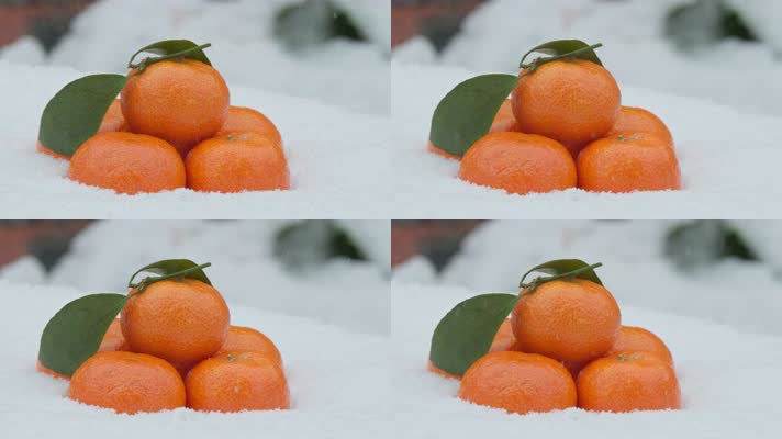 冬季冬天室外下小学窗台橘子