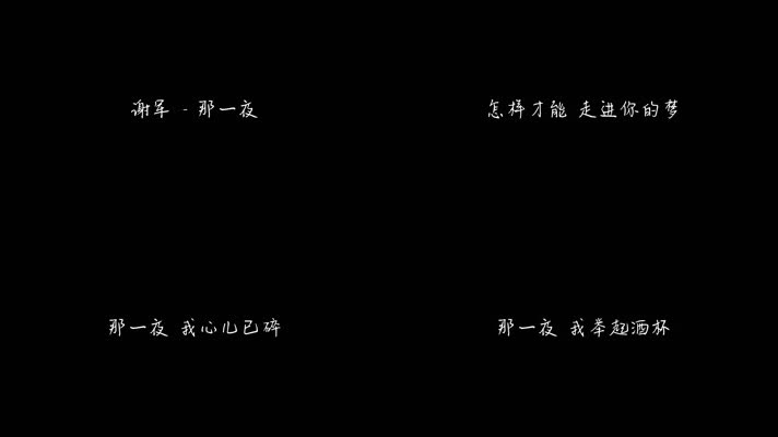 谢军 - 那一夜（1080P）