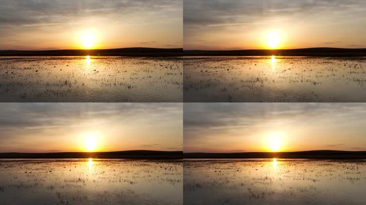 湿地湖水天鹅夕阳美景 (2)草原上的风景