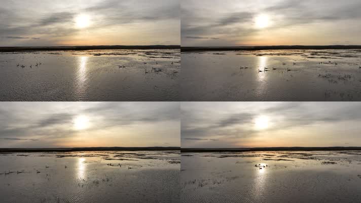 草原湿地湖泊天鹅候鸟夕阳 (3)呼伦贝尔大草原湿地风光