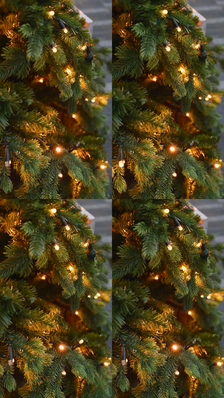 装点彩灯的圣诞树闪烁