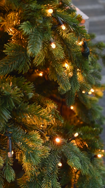 装点彩灯的圣诞树闪烁