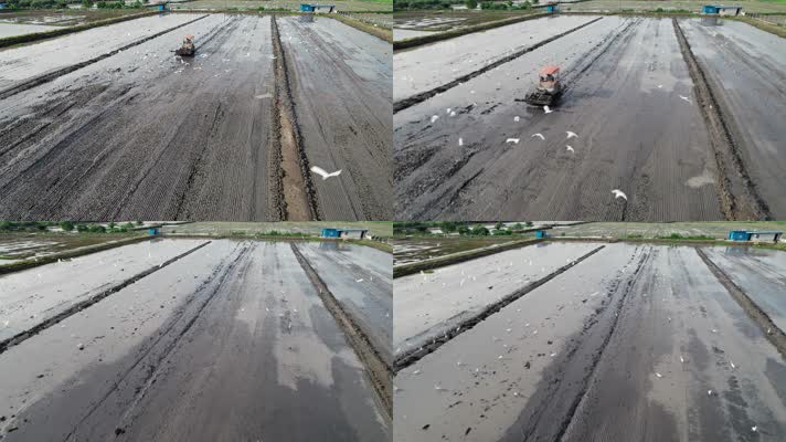 春天农村田野农用机械白鹭翱翔