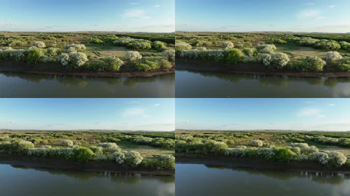 海拉尔河湿地风光美景 (5)海拉尔河风光