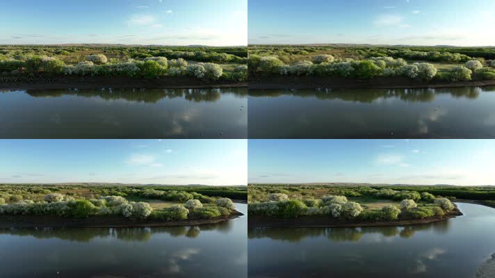 海拉尔河湿地风光美景 (6)海拉尔河风光