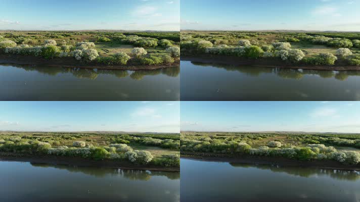 海拉尔河湿地风光美景 (3)海拉尔河风光
