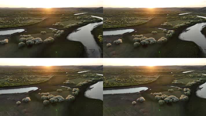 落日余晖河流湿地花海 (2)夕阳下的湿地花海