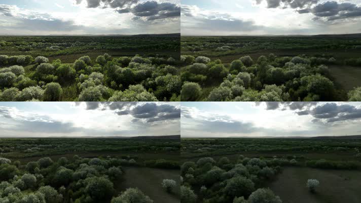 海拉尔河湿地初夏风景 (9)海拉尔河风光
