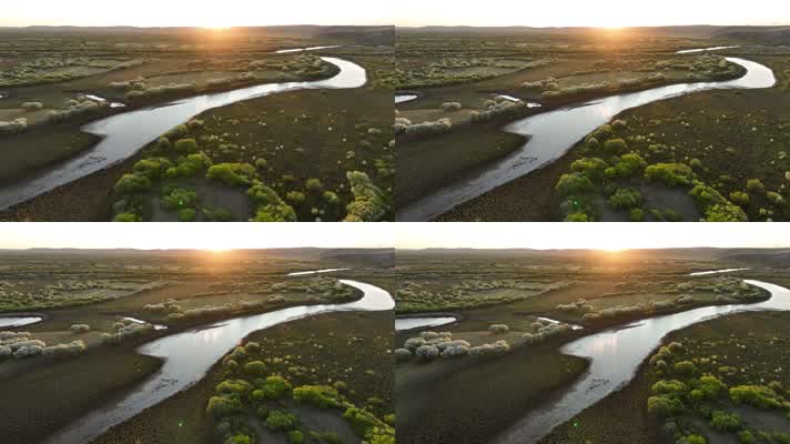 落日余晖河流湿地花海 (1)夕阳下的湿地花海