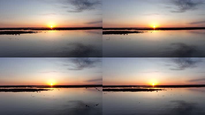 大雁掠过镜头前 (1)草原湿地风光