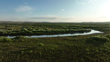 海拉尔河湿地夏日风光 (5)海拉尔河风光