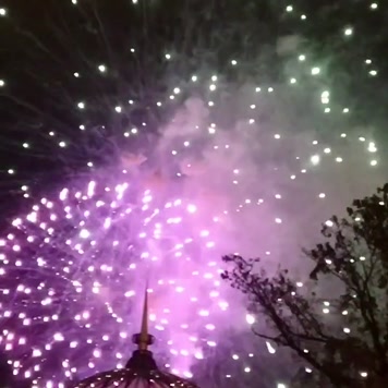 夜空中绽放的烟花绿色黄色金色