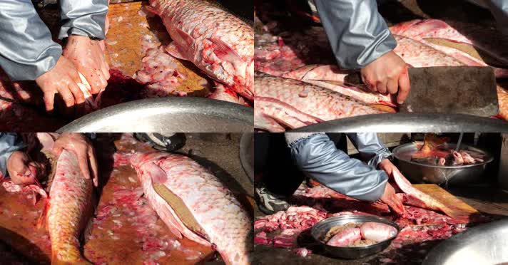 菜市场杀鱼 菜市场 剁鱼头 杀鱼 鱼贩 杀鱼
