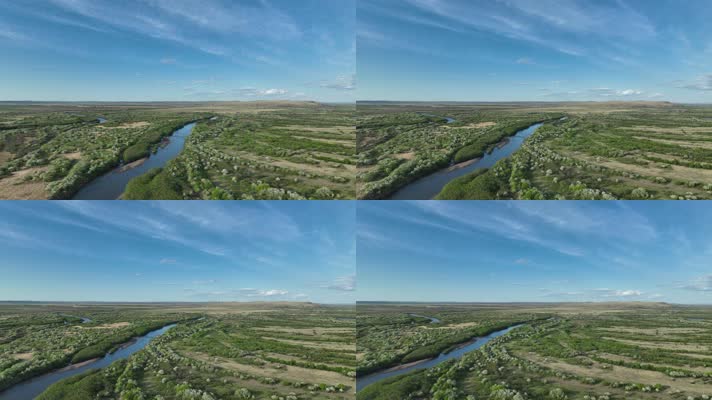 海拉尔河湿地风光山丁子花海 (10)呼伦贝尔大草原上的花海