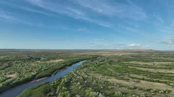 海拉尔河湿地风光山丁子花海 (10)呼伦贝尔大草原上的花海