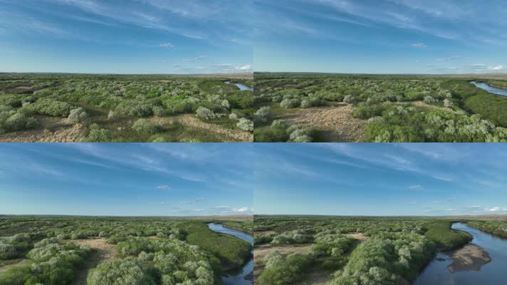 海拉尔河湿地风光山丁子花海 (8)呼伦贝尔大草原上的花海