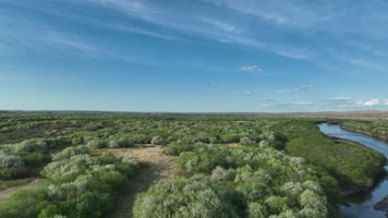 海拉尔河湿地风光山丁子花海 (8)呼伦贝尔大草原上的花海