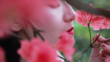 女人闻杜鹃花 女人闻杜鹃花