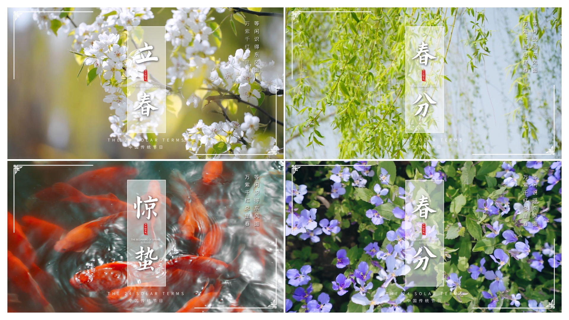 二十四节气-立春春分惊蛰AE模板