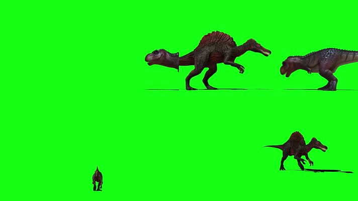 霸王龙棘龙动画