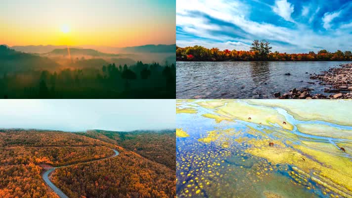 大兴安岭的秋天