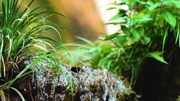 湖南湘西山水自然风光小溪流水