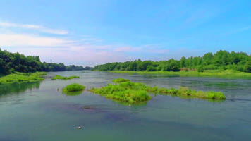呼伦贝尔草原河流牧场