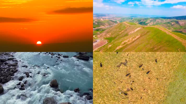 青藏高原牦牛河流风光