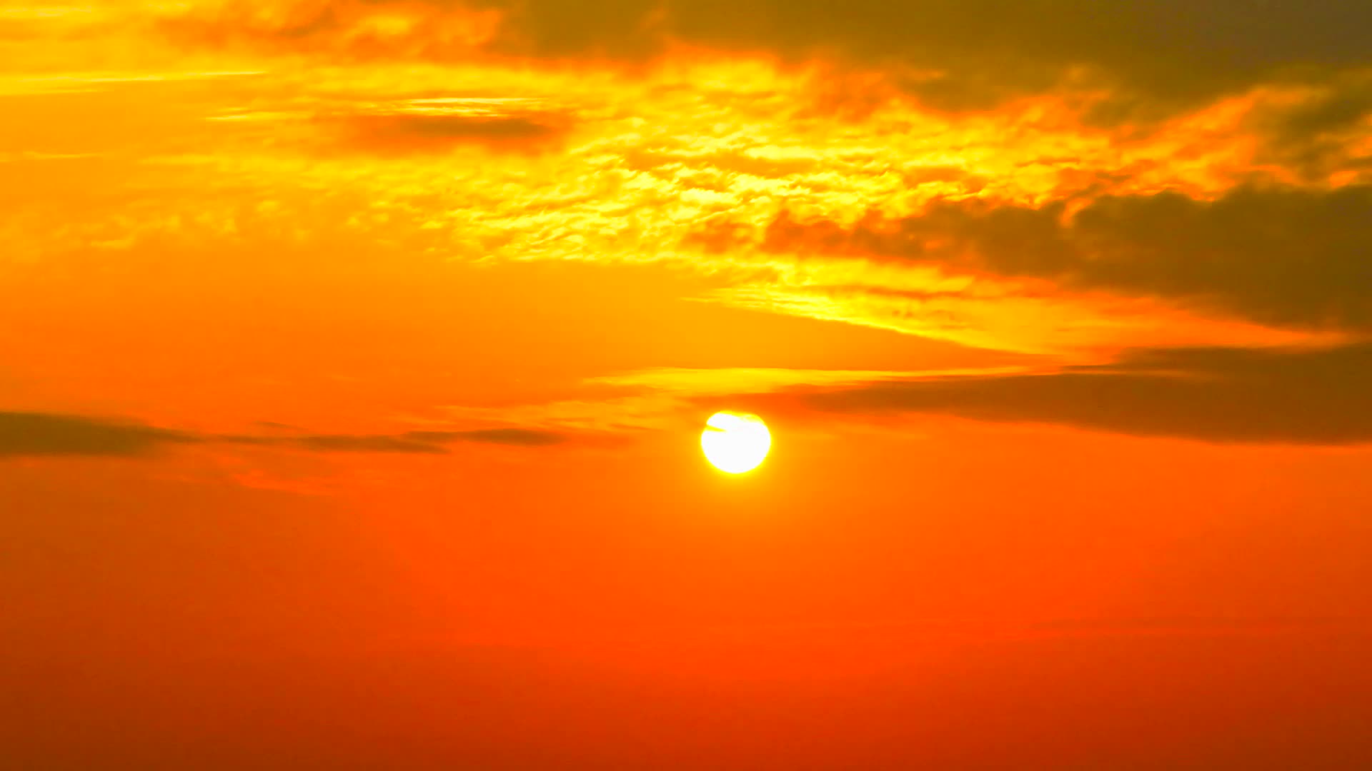 青藏高原牦牛河流风光