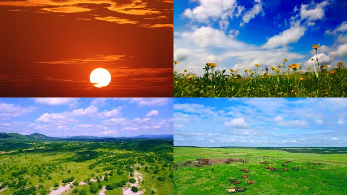 大草原草地风光