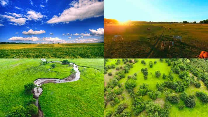 内蒙古呼伦贝尔草原