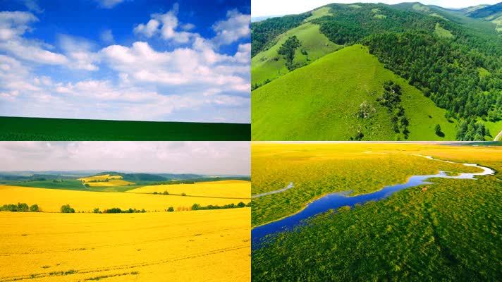大草原草地牛群马群河流