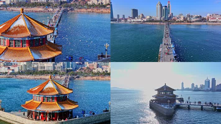 【海鸥】【栈桥】青岛山东航拍