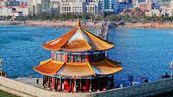 【海鸥】【栈桥】青岛山东航拍