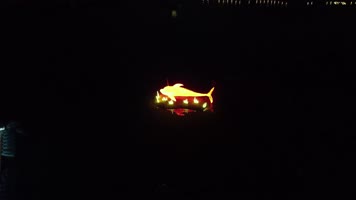 山东滕州 滕州野生动物园 动物园花灯 航拍 山东滕州 滕州野生动物园 动物园花灯 航拍