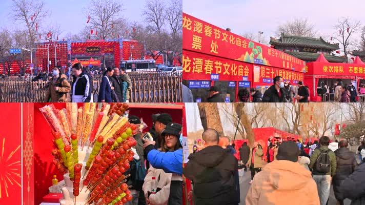 龙年：龙潭公园第三十八界春节庙会（原声）