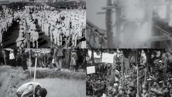 50年代 越南土地革命