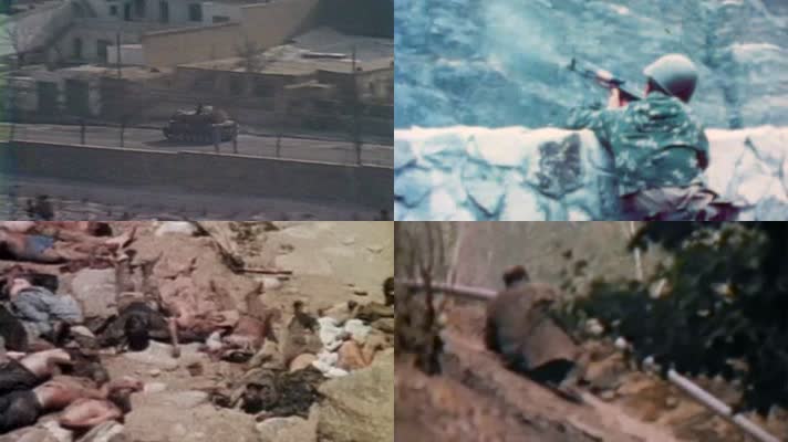 80年代 阿富汗战争