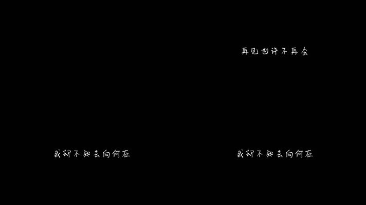 蔡国权 - 再见也许不再会（1080P）