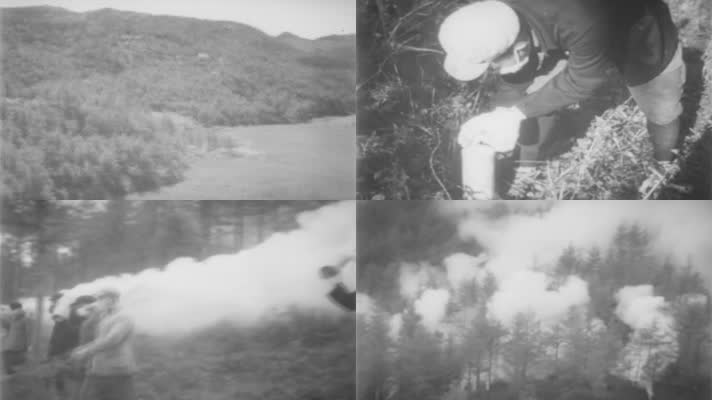 50年代林场烟雾灭虫视频