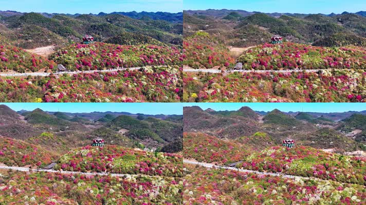 4K航拍贵州黔西南毕节杜鹃花大方县风景