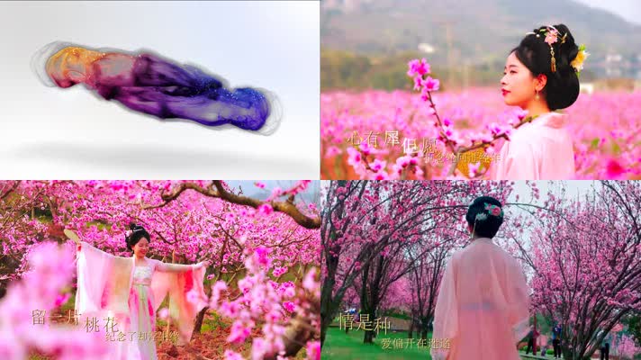 桃花诺古风视频工程模版