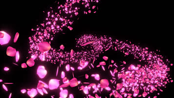 【千本樱 樱花飞舞】视频素材-带通道 【千本樱 樱花飞舞】视频素材-带通道