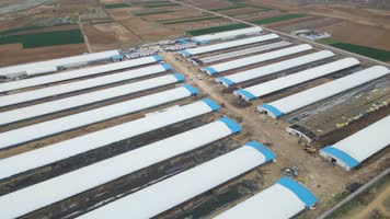 大棚养殖场 养殖 畜牧业 航拍养殖场 养殖业