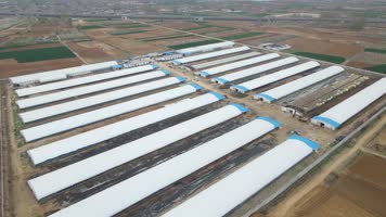 大棚养殖场 养殖 畜牧业 航拍养殖场 养殖业