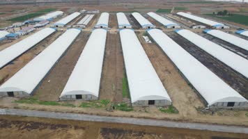 大棚养殖场 养殖 畜牧业 航拍养殖场 养殖业