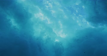 大海的美丽海里梦幻